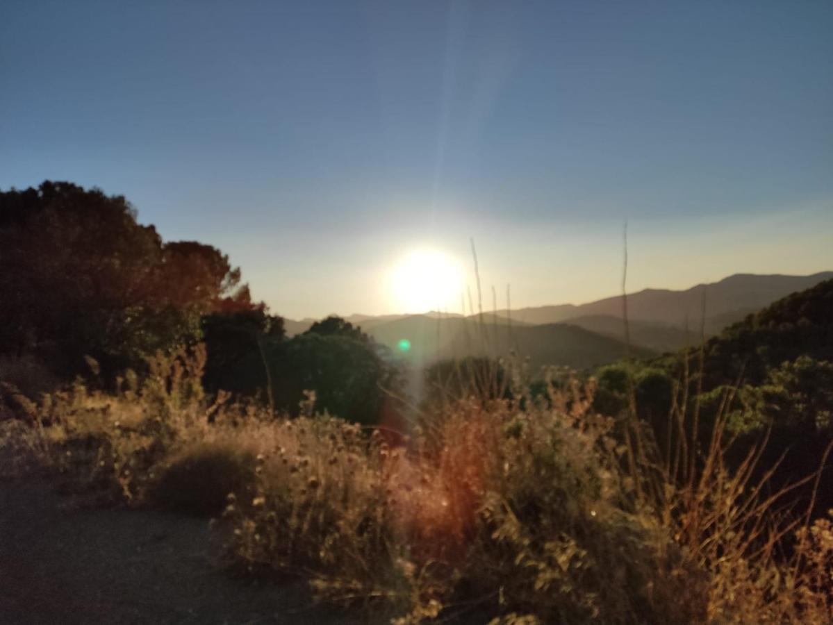 Casa Petra : Bonita Casa Rural En Yunquera Esterno foto